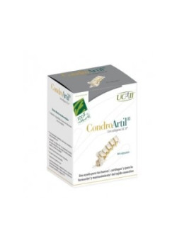 CONDROARTIL CON COLAGENO UC-II 90 cápsulas - 8437019352226