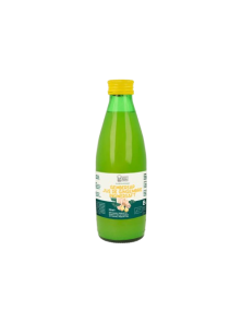 SAVIA DE JENGIBRE 250ML BIO - AMANPRANA VITALIDAD SERENA