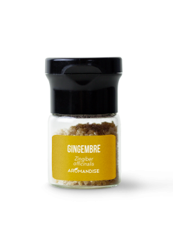 CRISTALES DE ACEITE ESENCIAL DE JENGIBRE 10GR BIO - AROMANDISE - 3560468795339
