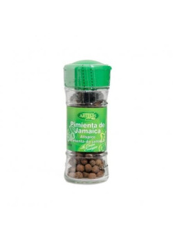 PIMIENTA DE JAMAICA 25GR BIO - ARTEMIS - 8428201321168