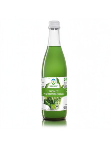 ZUMO DE COL CHUCRUT LACTOFERMENTADO 500 ML BIO - BIOFOOD