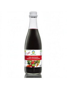 ZUMO DE MULTIVEGETAL LACTOFERMENTADO 500 ML BIO - BIOFOOD