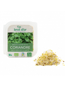 GERMINADO DE CILANTRO 70GR BIO - BROT D OR - 8435427200139