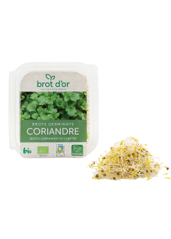 GERMINADO DE CILANTRO 70GR BIO - BROT D OR - 8435427200139