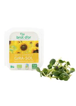 BROTE GERMINADO DE GIRASOL 70GR BIO - BROT D OR - 8435427200146