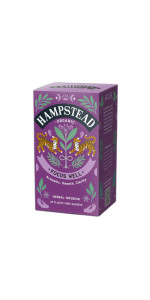 FOCUS WELL 20 BOLSITAS 40GR - HAMPSTEAD - 813427000986