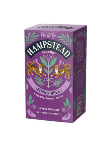 FOCUS WELL 20 BOLSITAS 40GR - HAMPSTEAD - 813427000986