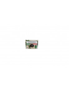 DATILES ENTEROS MEDJOUL 200GR BIO - IDEAS COMERCIO JUSTO - 8436007107015