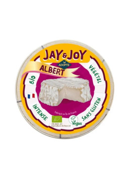QUESO CAMEMBERT VEGANO ALBERT 100G - JAY & JOY - 3760253220255
