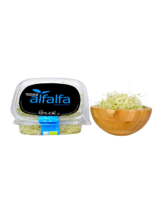 GERMINADO DE ALFALFA 45GR BIO - KIMUAK