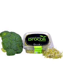 GERMINADO DE BROCOLI 150GR BIO - KIMUAK