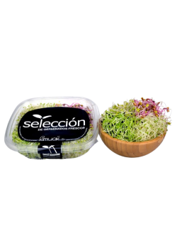 GERMINADO MESCLUM 50GR BIO - KIMUAK - 8414606673131