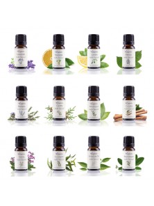 KIT INICIACION ACEITES ESENCIALES - LABIATAE