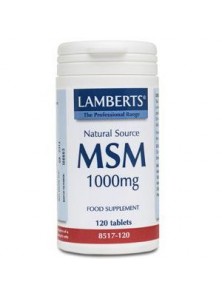 MSM 1000MG 120 TABLETAS - LAMBERTS - 5055148403171