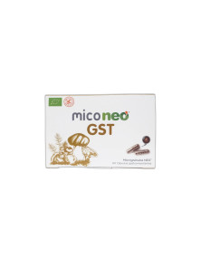 MICO NEO GST 60 CAPSULAS - NEOVITALHEALTH