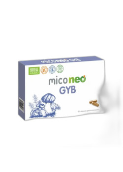MICONEO GYB 60 CÁPSULAS - NEOVITALHEALTH - 8436036591380