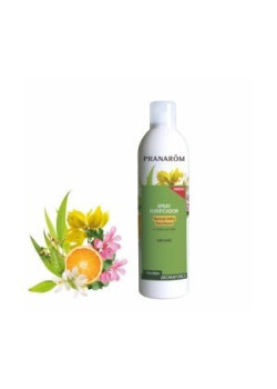 SPRAY PURIFICADOR NARANJA DULCE RAVINTSARA BIO 150 ML - PRANAROM - 5420008528200