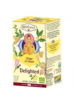INFUSION DELIGHTED JENGIBRE Y LIMON 16 FILTROS - SHOTI MAA - 8717853493072