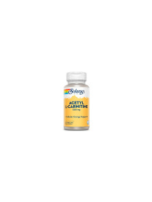 ACETYL L-CARNITINA 500GR - SOLARAY - 076280764833