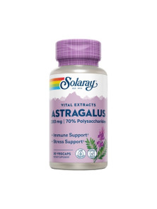 ASTRAGALUS 200GR 30 CAPSULAS - SOLARAY - 076280030709