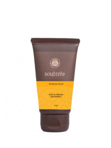 EXFOLIANTE FACIAL AYURVEDA 25GR TAMAÑO MINI - SOULTREE NATURAL GOODNESS