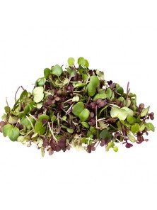 GERMINADO MIX DE 4 70GR BIO - VEGETALIA - 8422791012253