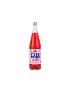 KOMBUCHA FRUTOS ROJOS 700ML BIO - VIVER